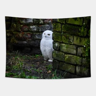 snow owl 1 / Swiss Artwork Photography Tapestry