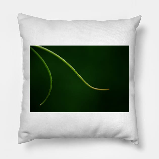 Tendrils  ~ going for a walk Pillow by LaurieMinor