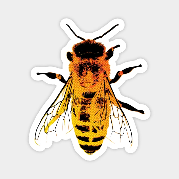 Honey Bee Bug Art Magnet by polliadesign