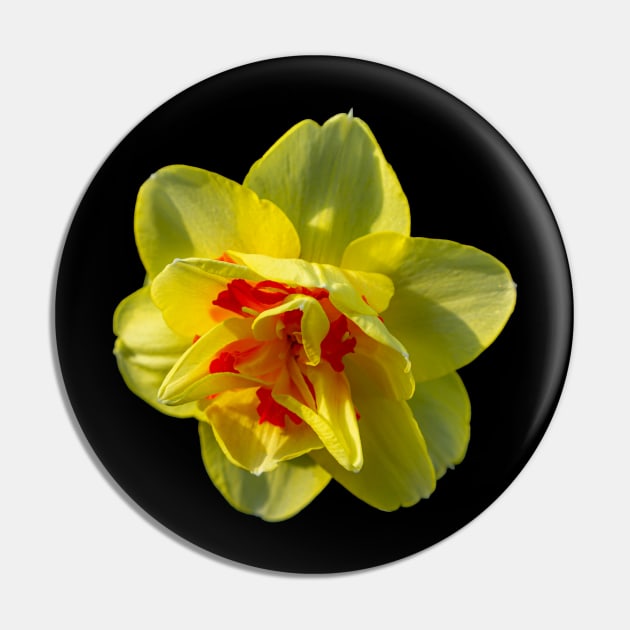 Daffodil Pin by dalyndigaital2@gmail.com