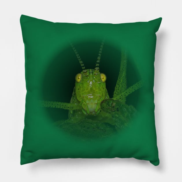 another green Grasshopper Pillow by Shadow3561