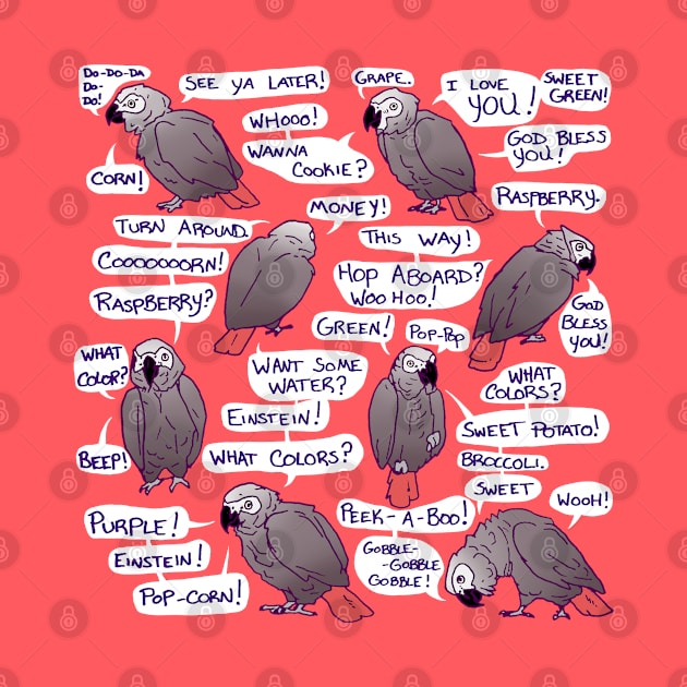 African Grey Parrot Einstein Funny Quotes by Einstein Parrot