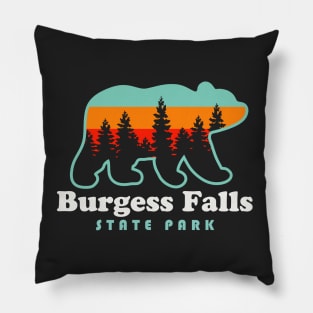 Burgess Falls State Park Hiking Tennessee Bear Retro Pillow