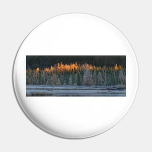 Frosty morning in Algonquin Park, Canada Pin