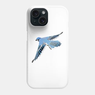 Blue Jay in flight Phone Case