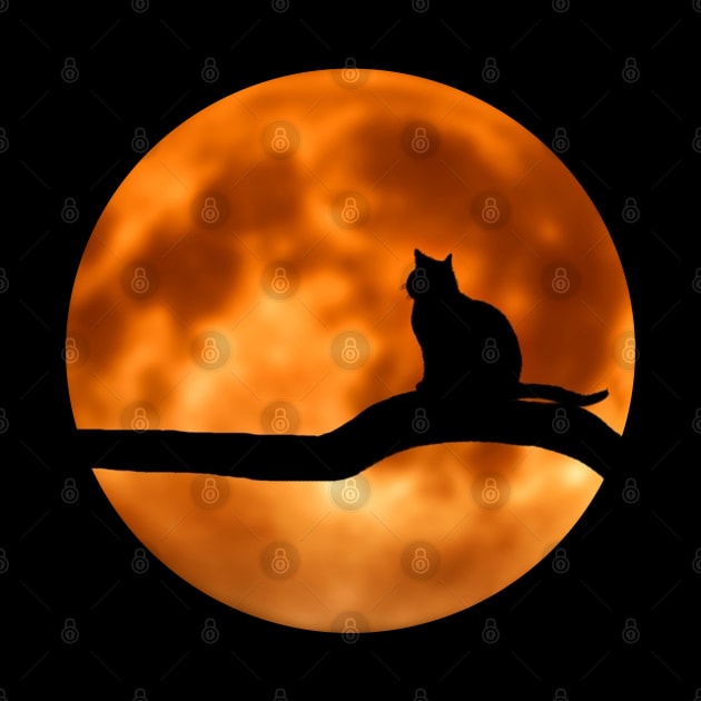 black cat & blood moon by okarosa