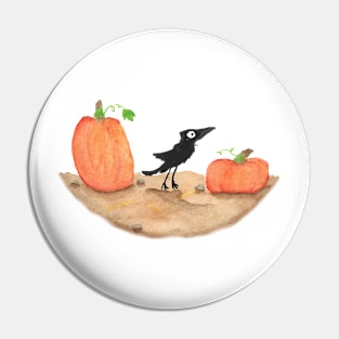 Curious Crow Pin