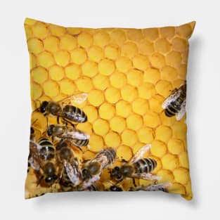 Honey honeycomb / Swiss Artwork Photography Pillow