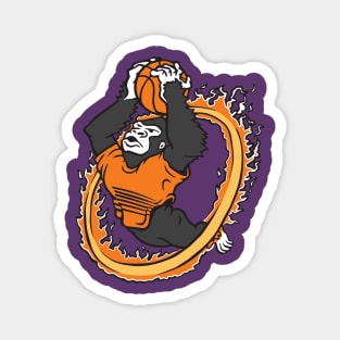 Phoenix Suns Magnet