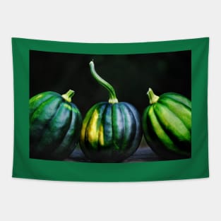 Acorn Squash Tapestry