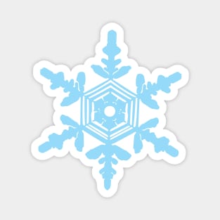 Snowflake Magnet