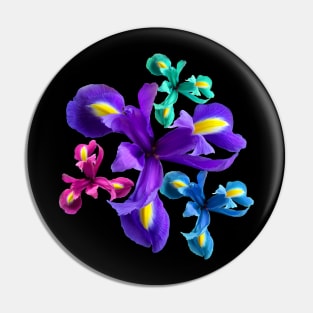 Irises, iris, iris flowers, petals, floral, flower Pin