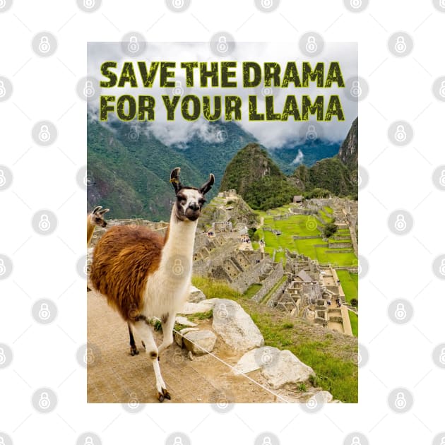 Save the Drama for your Llama at Machu Picchu by FrogAndToadsWorkshop