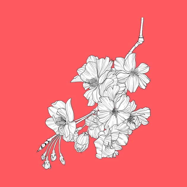Sakura Cherry Blossom Flower Monoline Illustration by Flowering Words