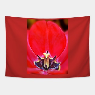 Tulip Tapestry