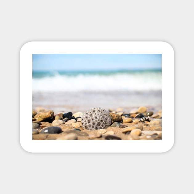 Petoskey Stone on Lake Michigan Beach Magnet by opptop