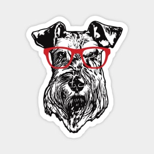 Cool Schnauzer Nerd with Red Glasses Magnet