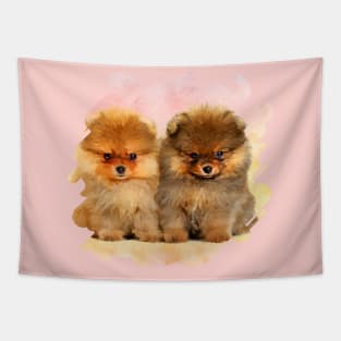 Cute Pomeranian German Spitz  Puppies Tapestry