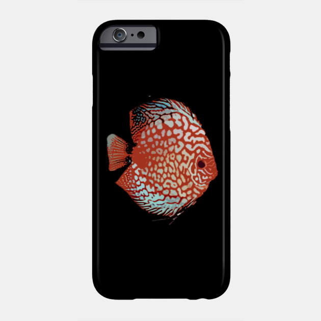 8500 Aquarium Design For Discus Fish Terbaik