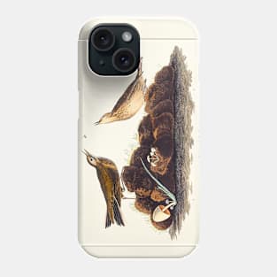 Brown Lark from Birds of America (1827) Phone Case