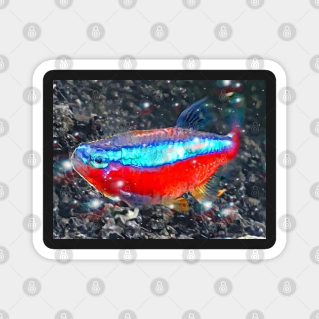 Neon Tetra Magnet by danieljanda