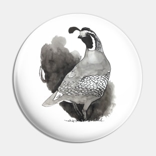 California Quail Ink Drawing Design Pin