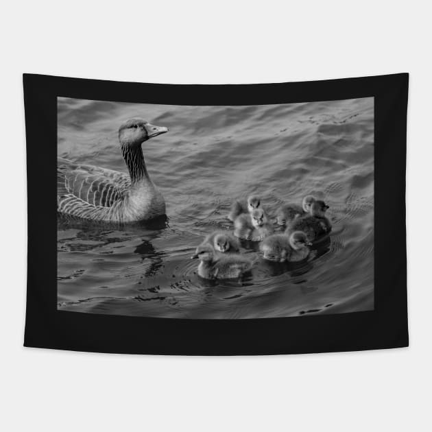 Mother goose Tapestry by yackers1