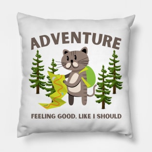 adventure: feeling good, like i should Pillow