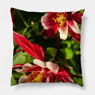 Red Columbine Pillow