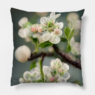 Blossoming branch of an apple tree - spring motif II Pillow