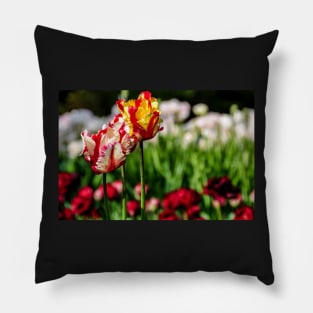 tulips Pillow