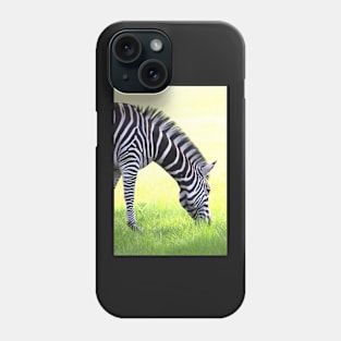 Zebra Grazing Phone Case