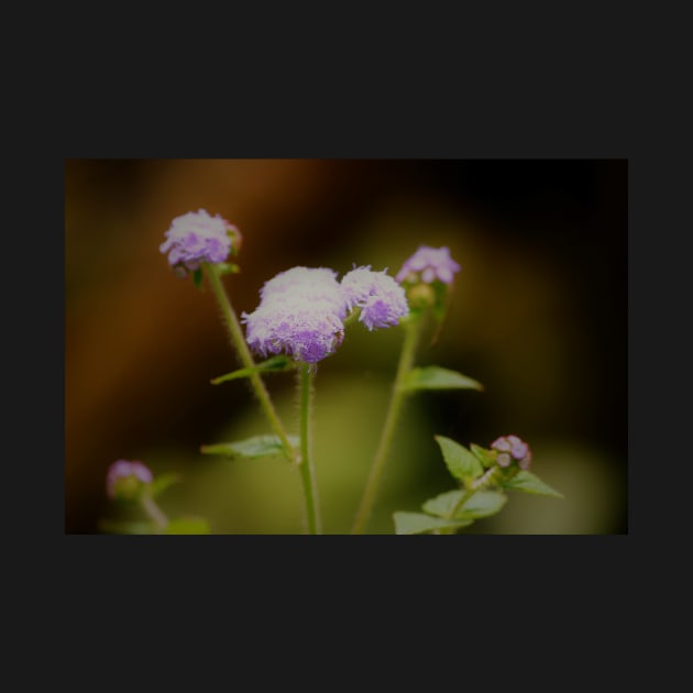 Purple Wild Flowers by TheRealFG