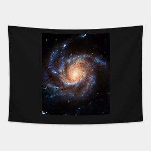 Star Disk M-101 Tapestry