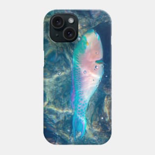 Bluechin Parrotfish in the Galapagos Islands, Ecuador Phone Case