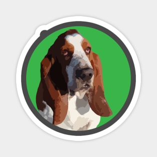 Basset Hound Magnet