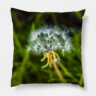 Dandelion Pillow