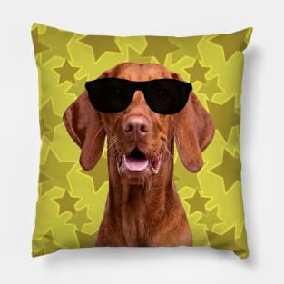 Cool Dog and Stars Pillow