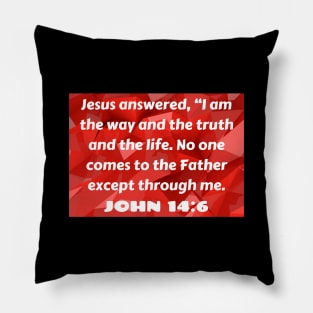 Bible Verse John 14:6 Pillow