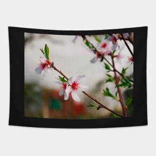 Almond Blossom Tapestry