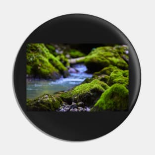 Mossy boulders in a river Pin