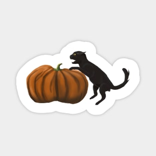 Halloween Beyklog Black cat and pumpkin Magnet