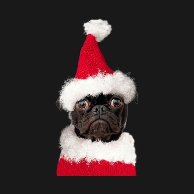 Cute Black Pug in Christmas Santa Hat by k8creates