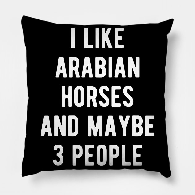 Arabian Horses Funny Saying Meme Pillow by BlueTodyArt