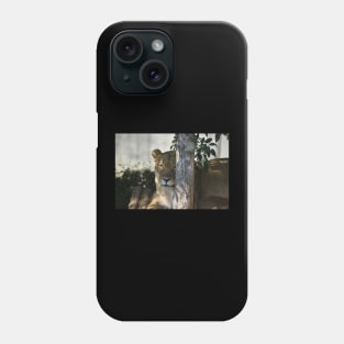 Lioness Phone Case