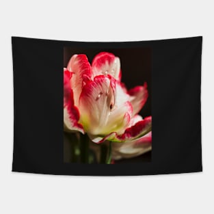 Parrot Tulip Tapestry