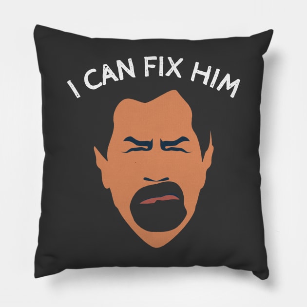 I Can Fix Him Roman Pillow by photographer1