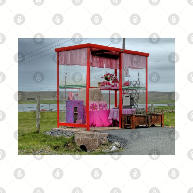 Pink Bus Stop at Unst by Avalinart
