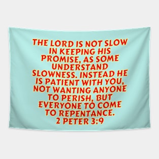 Bible Verse 2 Peter 3:9 Tapestry