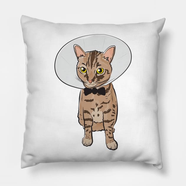 Monday Cat Pillow by ThunderCrafts